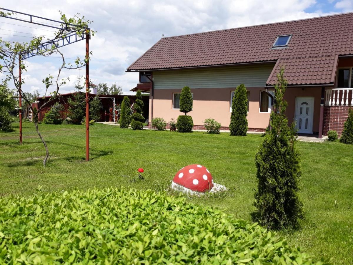 Hotel Casa Neagu Covasna Exterior foto